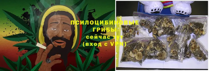 Псилоцибиновые грибы MAGIC MUSHROOMS  Ростов 